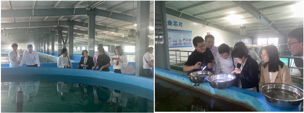 [上海海洋大学]水产与生命学院赴江苏中洋集团深入开展主题教育，力促人才供需对接